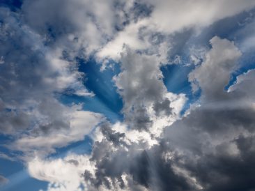 Image by Achim Scholty from Pixabay