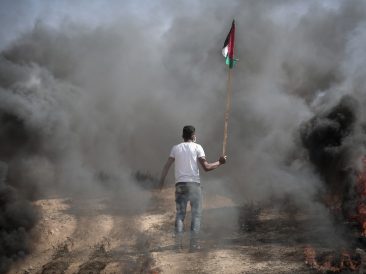 Image by hosny salah from Pixabay