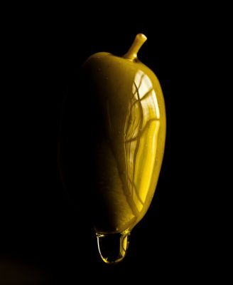 Image by AJ_Ferreira from Pixabay