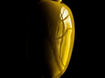 Image by AJ_Ferreira from Pixabay