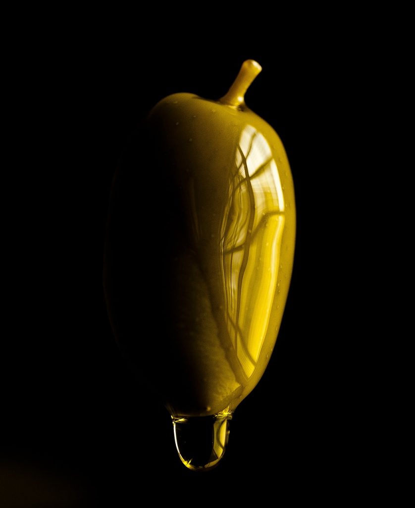 Image by AJ_Ferreira from Pixabay