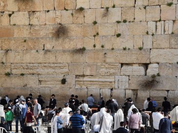 Image by MaciejJaszczolt from Pixabay