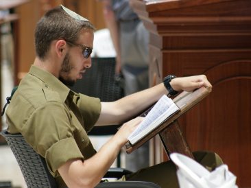 Image by Aleks from Pixabay