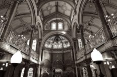 Image by hurk from Pixabay