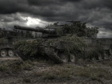 Image by Shujon Moral from Pixabay