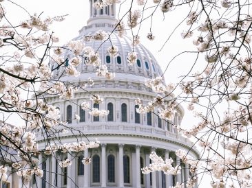 Image by lea hope bonzer from Pixabay