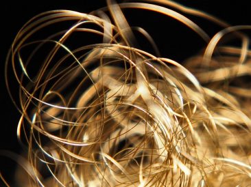 Image by Ralf Ruppert from Pixabay