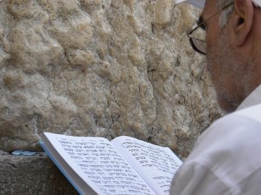 Image by Till Brömme from Pixabay