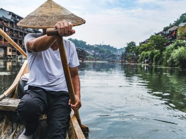 Image by Kira Phạm from Pixabay