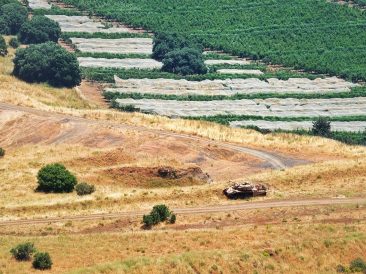 Image by Carlos / Saigon - Vietnam from Pixabay