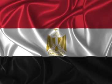 Image by David from Pixabay