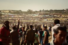 Image by hosny salah from Pixabay