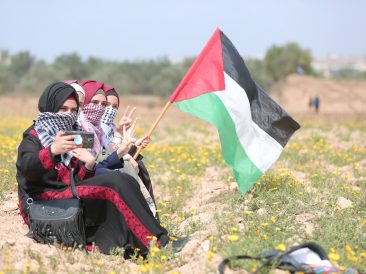 Image by hosny salah from Pixabay