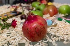 Image by Ri Butov from Pixabay