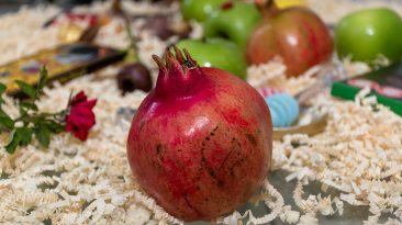 Image by Ri Butov from Pixabay