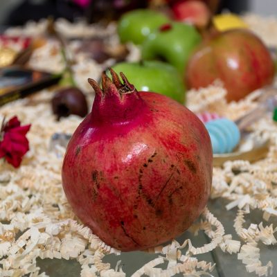 Image by Ri Butov from Pixabay