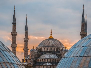 Image by Salih Altuntaş from Pixabay