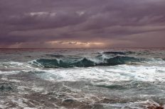 Image by Dimitris Vetsikas from Pixabay