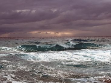 Image by Dimitris Vetsikas from Pixabay