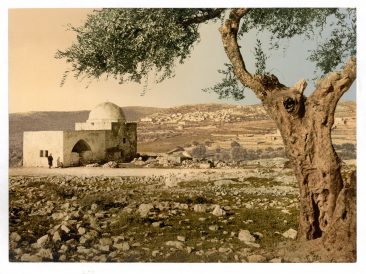 מאת Library of CongressCatalog: http://lccn.loc.gov/2002725025, נחלת הכלל, קישור