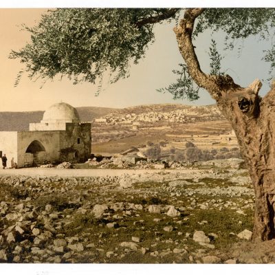 מאת Library of CongressCatalog: http://lccn.loc.gov/2002725025, נחלת הכלל, קישור