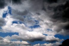 Image by lisa runnels from Pixabay