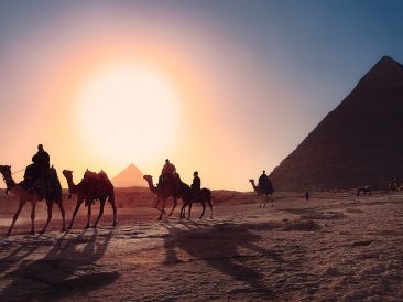 Image by Simon Berger from Pixabay