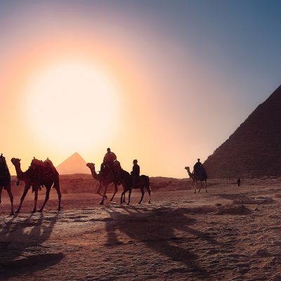 Image by Simon Berger from Pixabay