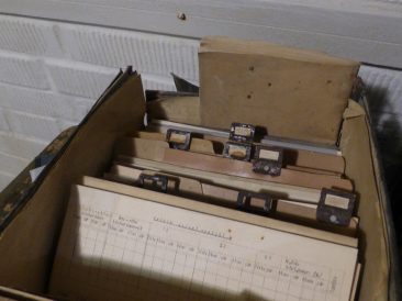 Image by Tomasz Mikołajczyk from Pixabay