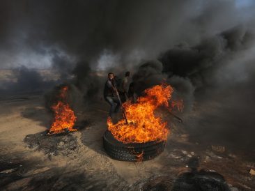 Image by hosny salah from Pixabay