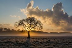 Image by Marek Ropella from Pixabay