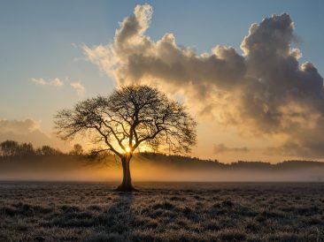 Image by Marek Ropella from Pixabay