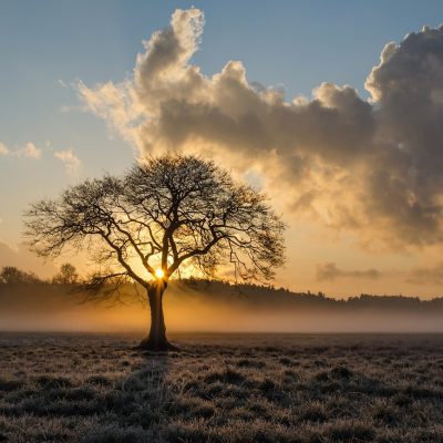 Image by Marek Ropella from Pixabay