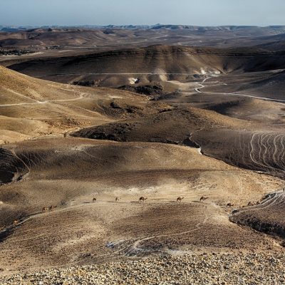 Image by Gidon Pico from Pixabay