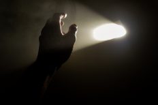 Image by Syed Wasi Hassan from Pixabay