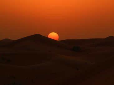 Image by Philippe GDS from Pixabay