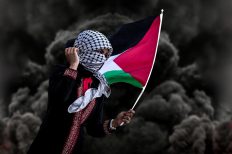 Image by hosny salah from Pixabay