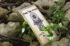 Image by Ri Butov from Pixabay