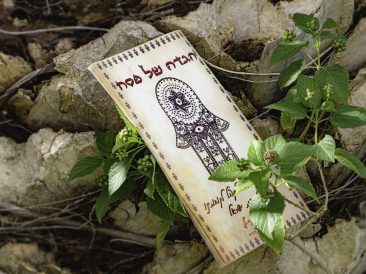 Image by Ri Butov from Pixabay