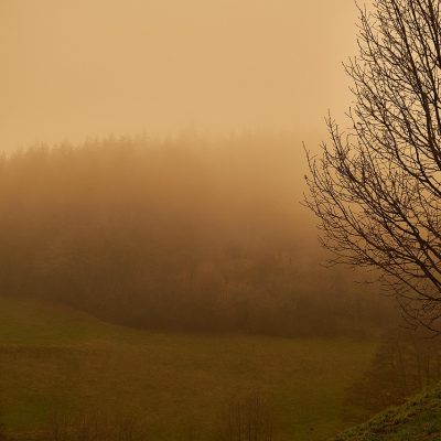 Image by Qlug from Pixabay