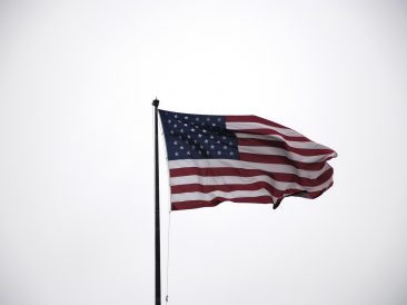 Image by Michael Bußmann from Pixabay