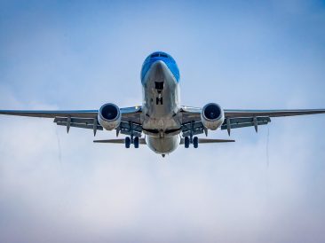 Image by Waldemar Zielinski from Pixabay