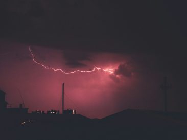 Photo by Andrea Ferrario on Unsplash