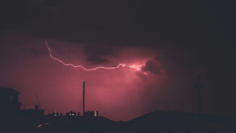 Photo by Andrea Ferrario on Unsplash