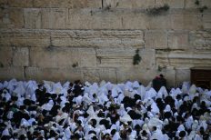 Photo by MIGUEL BAIXAULI on Unsplash