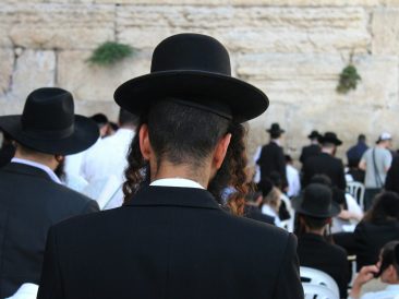 Photo by MIGUEL BAIXAULI on Unsplash