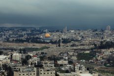 Photo by Eran Menashri on Unsplash