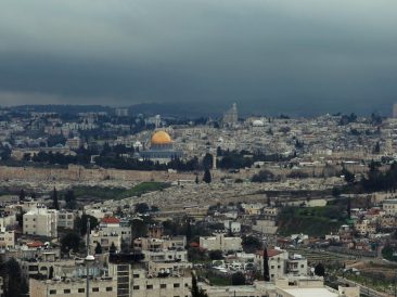 Photo by Eran Menashri on Unsplash