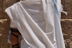 Image by Jaroslav Šmahel from Pixabay