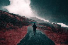 Photo by Nick Scheerbart on StockSnap